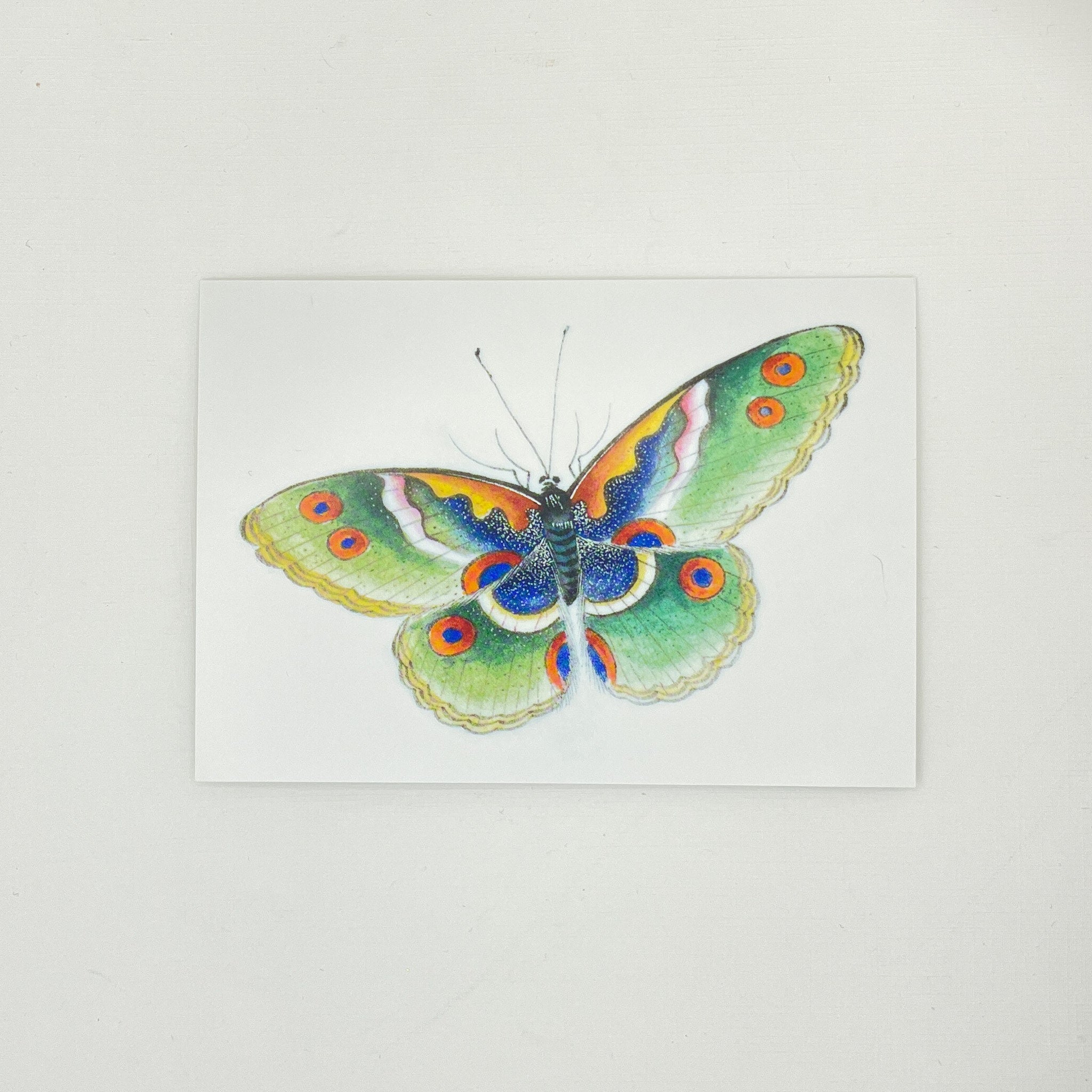 Butterfly Boxed Cards Set