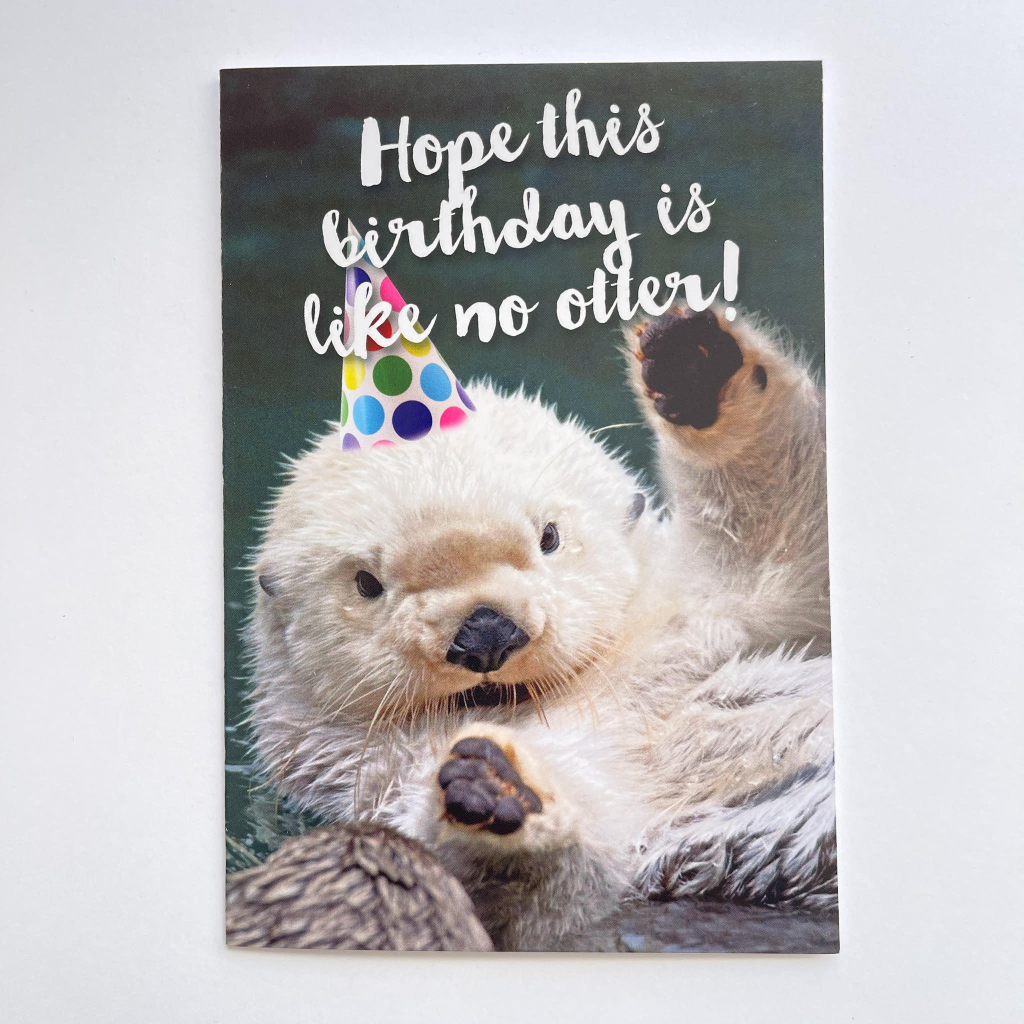 Hope This Birthday is Like no Otter