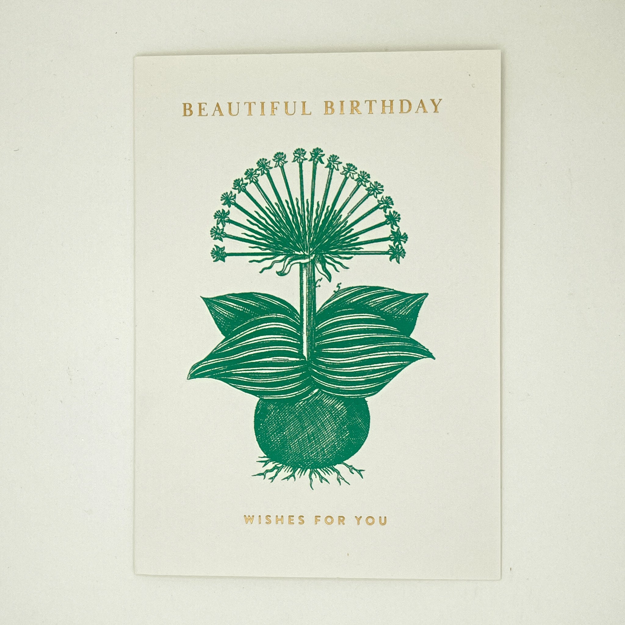 Beautiful Birthday Wishes for You Card