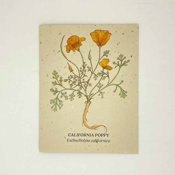 California Poppy Seed Card