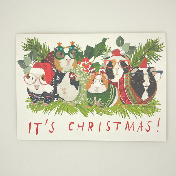 Guinea Pigs in Sweaters Christmas Card