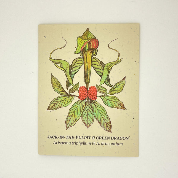 Jack-in-the-Pulpit & Green Dragon Card