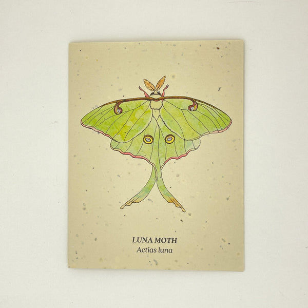 Luna Moth Seed Card