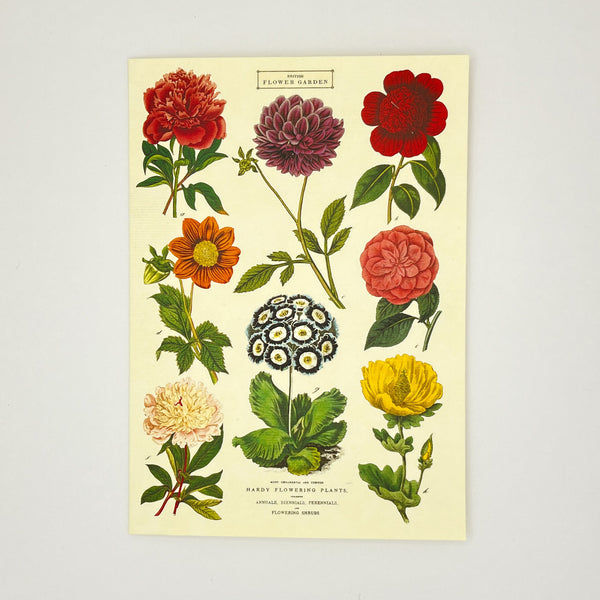 British Flower Garden Card