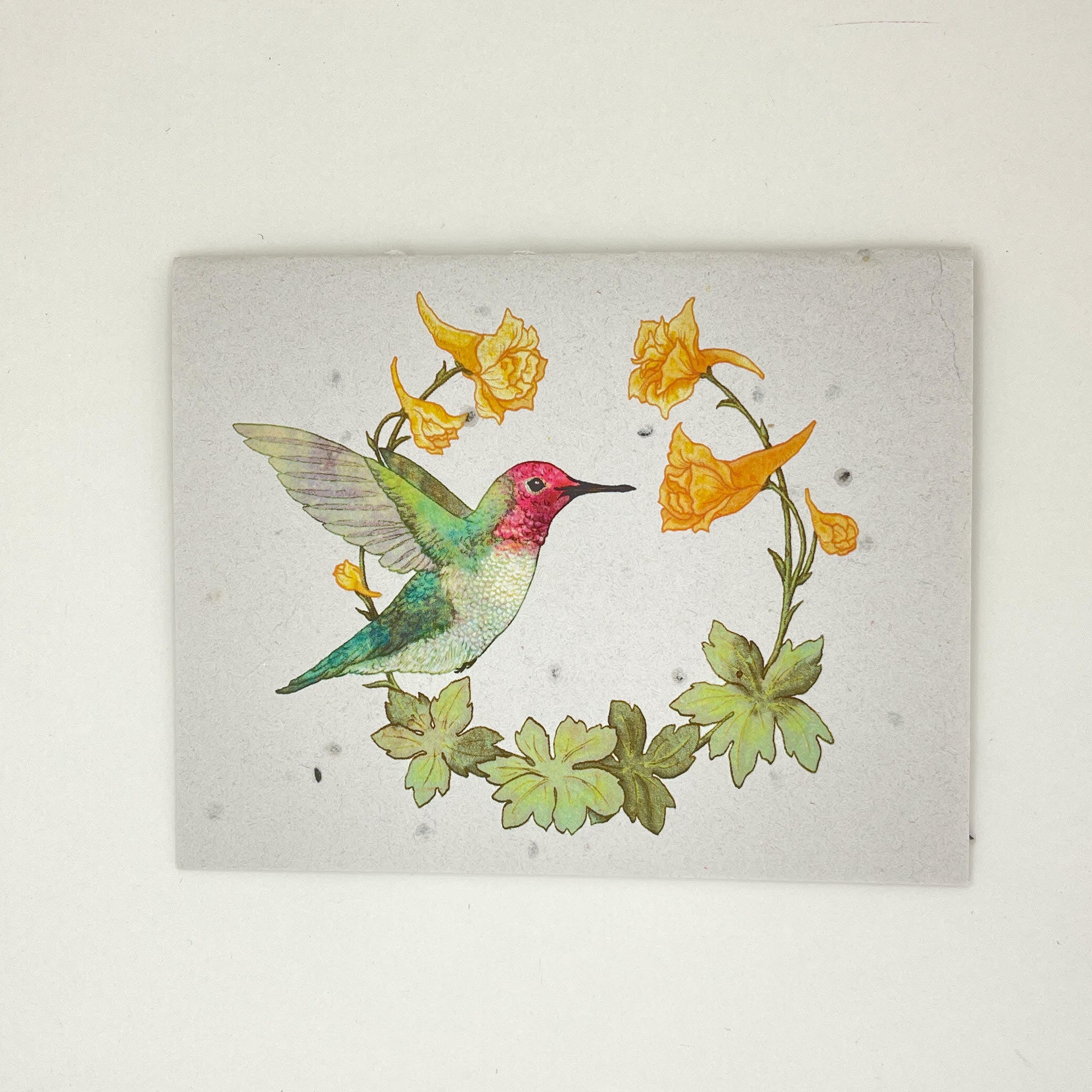 Hummingbird Seed Card