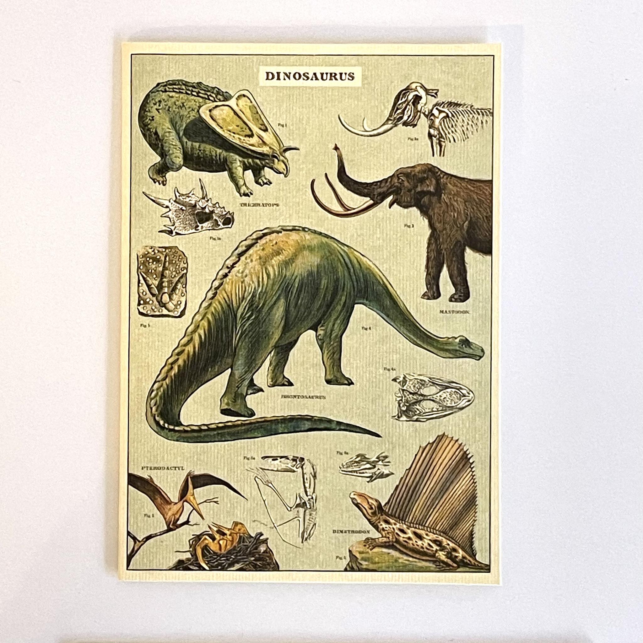 Vintage Illustration Dinosaurs  Card