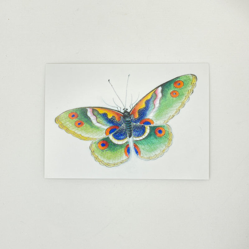 Butterfly Boxed Cards Set