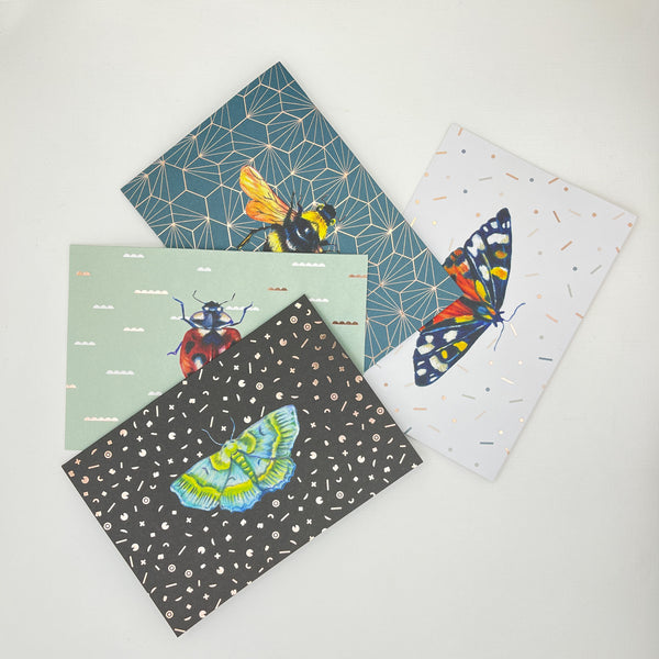 Wings Pop-Up Boxed Notes Set