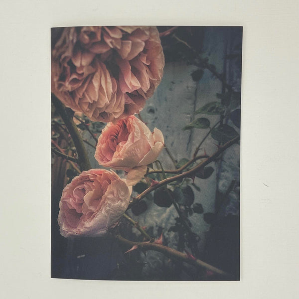 Hugh Shurley "Leyla's Roses" Card