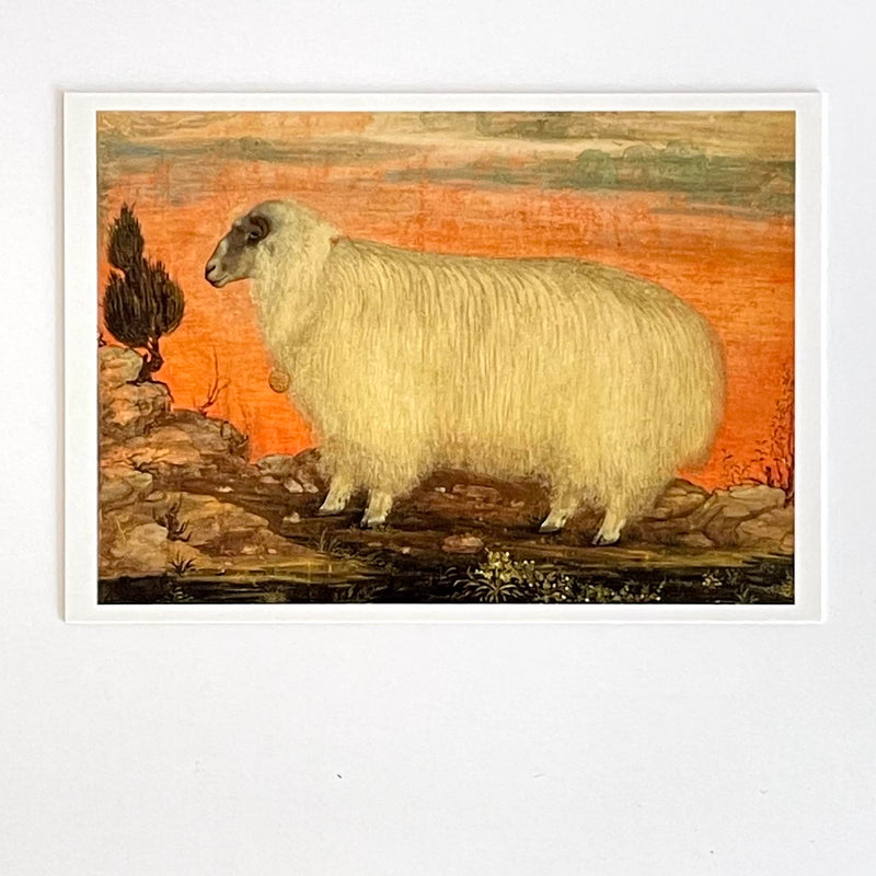 Mountain Sheep Card