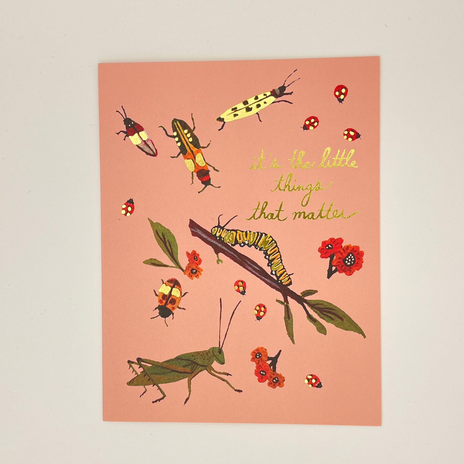 Little Things Matter Bugs Card